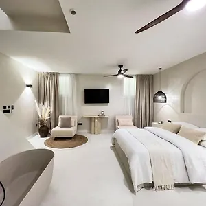 Superb Palais Royal Louvre Museum Free Netflix Appartement